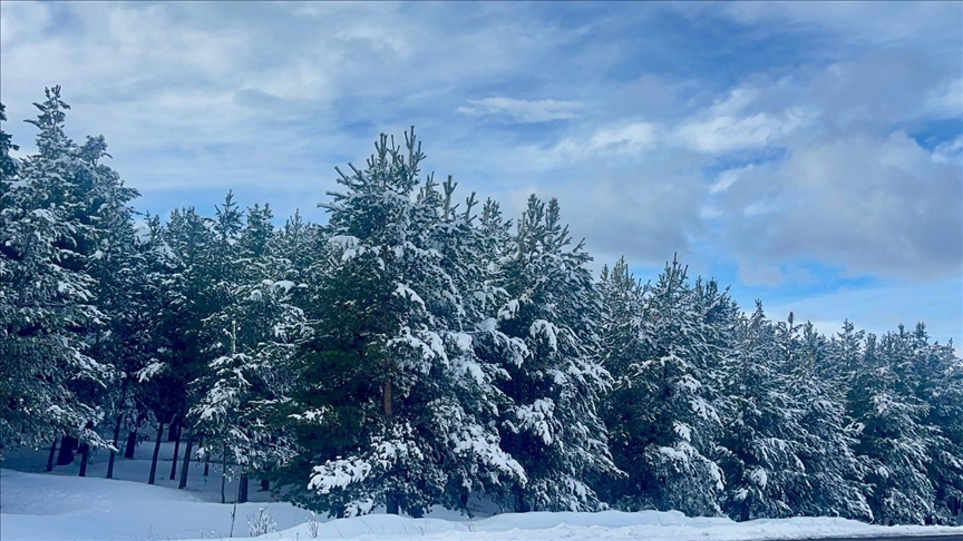 Kars ve Ardahan'da ekiplerin karla mücadele çalışması sürüyor