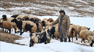 Li taxên gundewar ên Wanê di biharê da jî berf tê paqijkirin