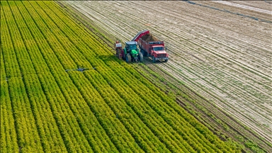 Agricultural commodity prices surge due to Middle East tensions