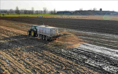 Россия продлила временный запрет на вывоз технической серы