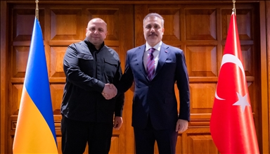 Turkish foreign minister meets with Ukrainian chief negotiator