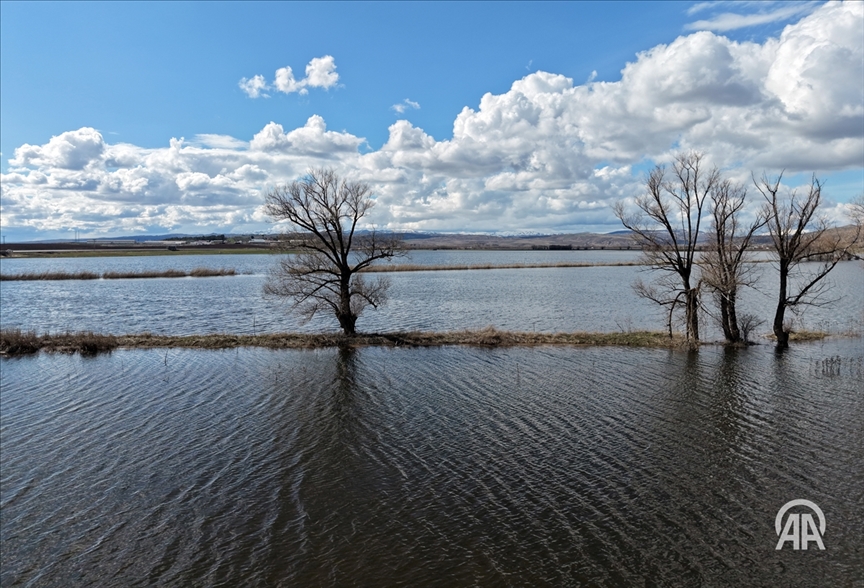 Li Sîvasê dîmenê ava ku piştî baranê li ser eraziyên çandiniyê golî bû, ji hewa va hat kişandin