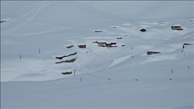 Rize'de karlar altında kalan yayla evleri havadan görüntülendi