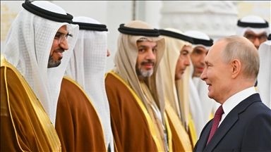 Russian, UAE presidents express concern over Middle East tensions