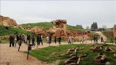 Tunus, Fas ve Cezayirli seyahat acenteleri rotayı Güneydoğu'ya çevirdi