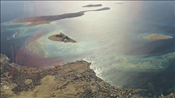 UAE willing to join fight to reopen Strait of Hormuz: Report