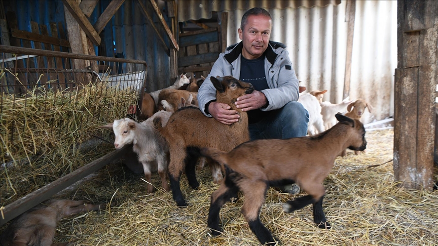 Hobi amaçlı yetiştirmeye başladığı keçiler gelir kapısı oldu