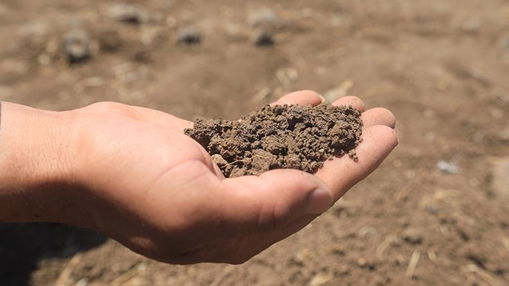 جنوب سوريا.. زراعة متضررة وبيئة مهددة بالانتهاكات الإسرائيلية 