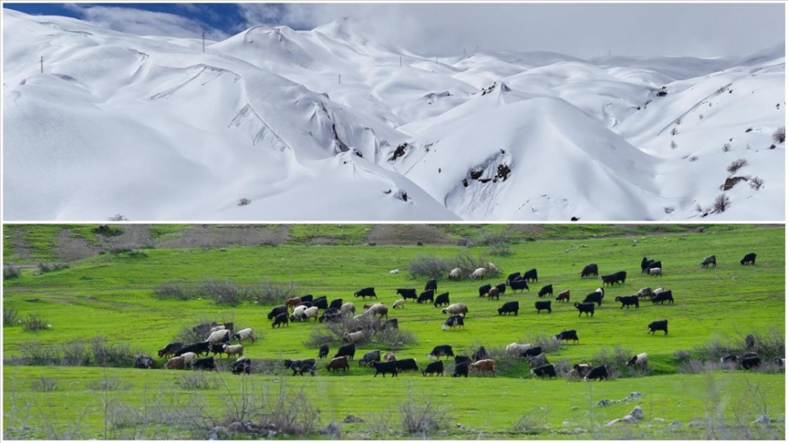 Hakkari'nin bir tarafında bahar diğer tarafında kış yaşanıyor