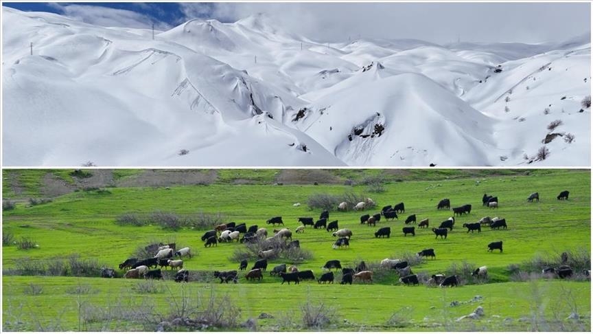 Li Hekariyê li hêlekê bihar li hêla din jî zivistan tê jiyîn