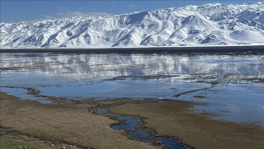 Li Hekariyê ava Dehla Nehîlê zêde bû