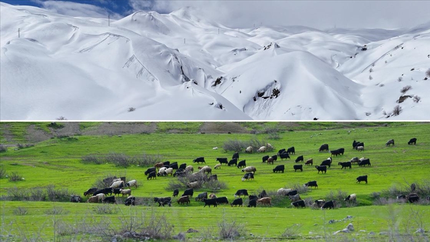Hakkari'nin bir tarafında bahar diğer tarafında kış yaşanıyor