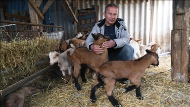 Hobi amaçlı yetiştirmeye başladığı keçiler gelir kapısı oldu