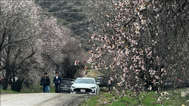 گوندی کورەمارکێ تابلۆیەکی زیندووی سرووشت و میوانخانەیەکی کراوە بۆ گەشتیاران