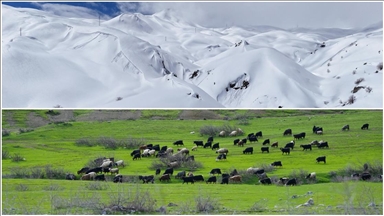 Hakkari'nin bir tarafında bahar diğer tarafında kış yaşanıyor