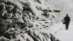 Bllokohet për kamionë rruga Pejë-Kullë-Rozhajë, kërkohen pajisje dimërore për automjetet