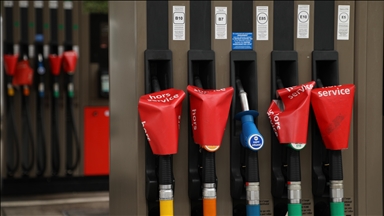 France prepares targeted measures to ease fuel price pressure