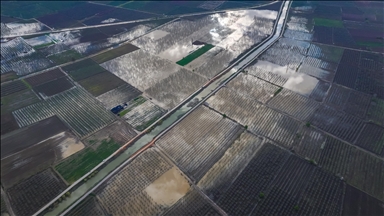 Bursa'da 3 gün süren sağanak Gürsu Ovası’nı su altında bıraktı