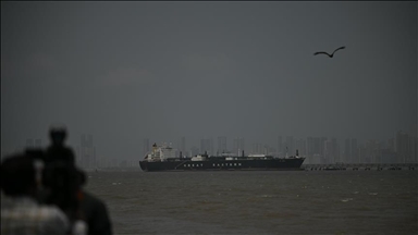 UAE calls on UN to approve measures, including use of force, to reopen Strait of Hormuz: Report