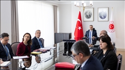 Turkish foreign minister attends online meeting on Strait of Hormuz