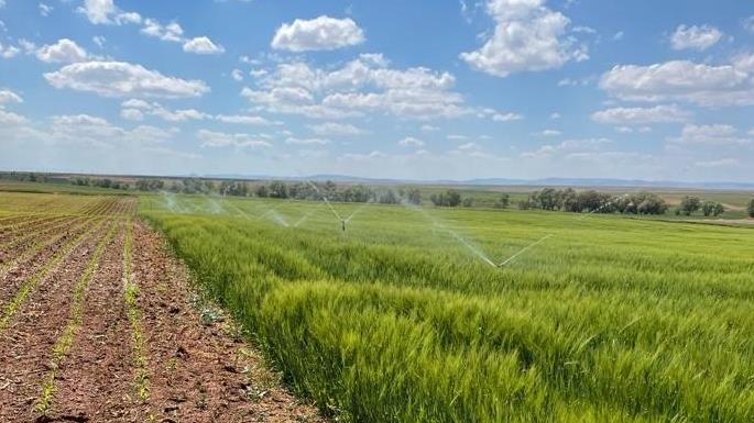 Bakan Yumaklı, sulama sistemlerine yönelik yatırımlara ilişkin destekleri değerlendirdi