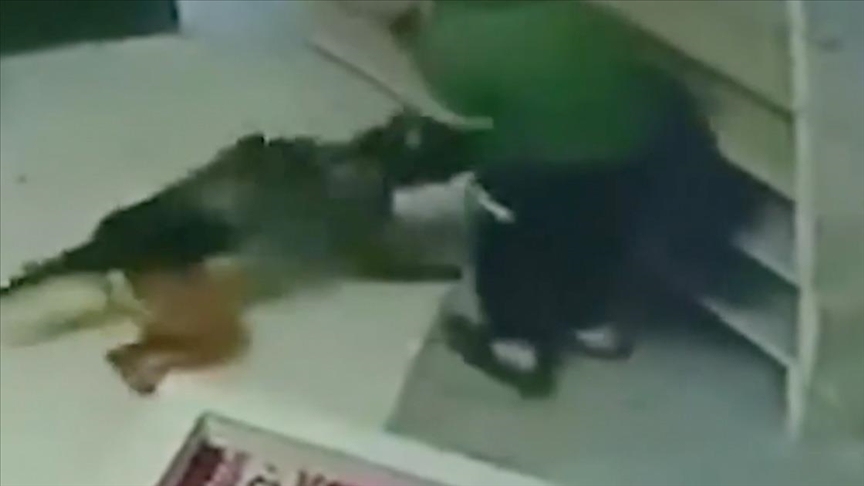 Ushtarët izraelitë bastisën një xhami në Bregun Perëndimor dhe sulmuan me qen një palestinez