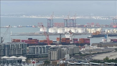 Africa maintains growth momentum despite global shocks