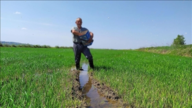 Gübre sektörü, karışımlı gübrelerdeki gümrük vergilerinin sıfırlanmasından memnun