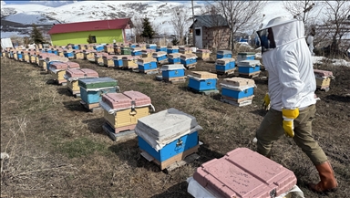 Ardahan'da kovanlar bahara kayıpsız açıldı, bal üreticileri sezona umutla başladı