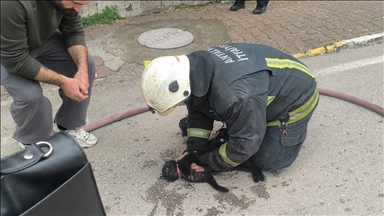 Antalya'da itfaiye ekipleri yangında baygın buldukları kediyi kalp masajıyla hayata döndürdü