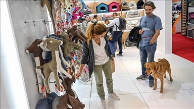 Martta fiyatı en çok artan başlık evcil hayvan ürünlerinde en fazla düşen ise balık ürünleri oldu