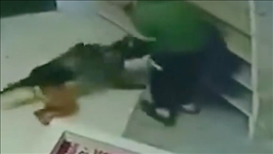 Ushtarët izraelitë bastisën një xhami në Bregun Perëndimor dhe sulmuan me qen një palestinez