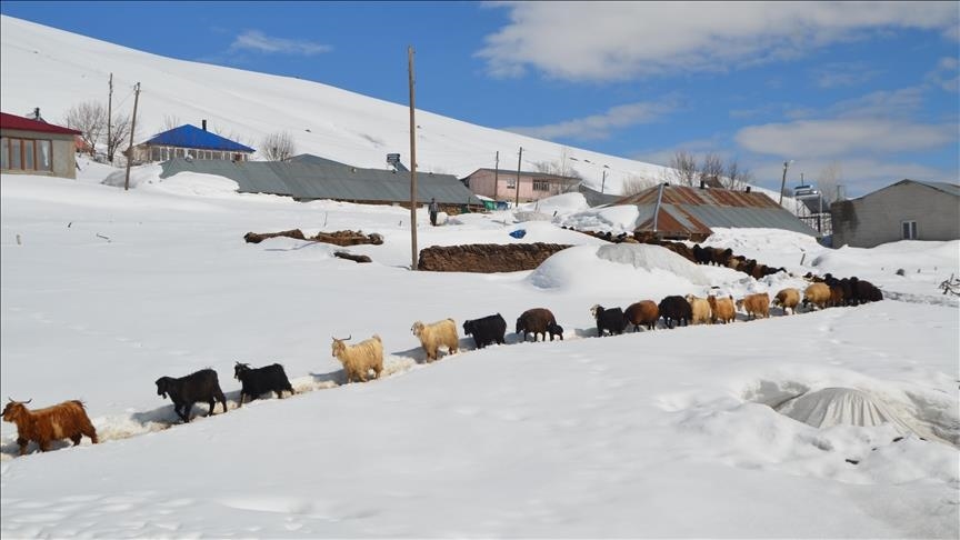 Li Mûşê şêniyên gundên ku bi metroyan berf lê heye li benda biharê ne