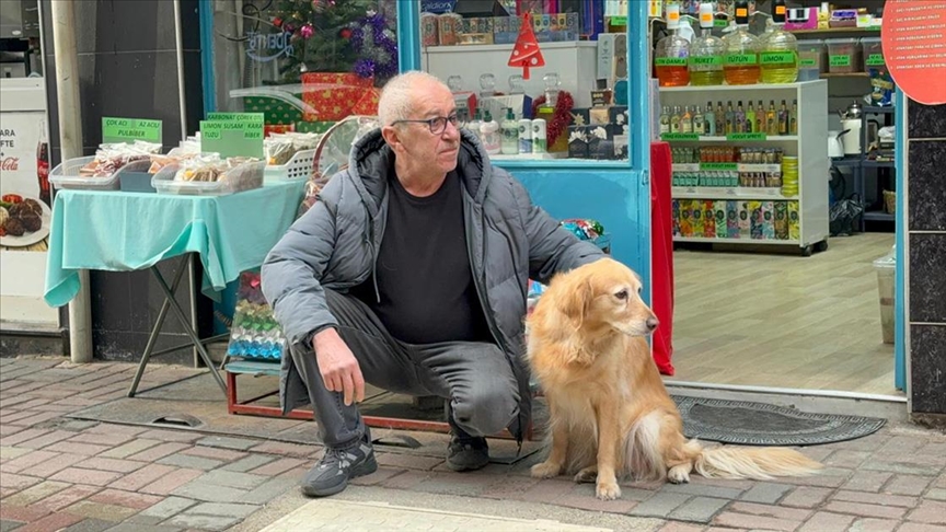 Hastalığına tanı konulamayan köpek sevginin gücüyle hayata bağlandı