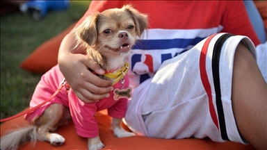 Putovanja s kućnim ljubimcima iz Srbije u EU uskoro jednostavnija i jeftinija