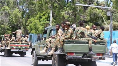 At least 9 al-Shabaab terrorists killed during intelligence operation in Somalia