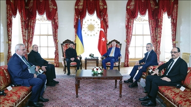 أردوغان وزيلينسكي يبحثان مساعي السلام بين روسيا وأوكرانيا 