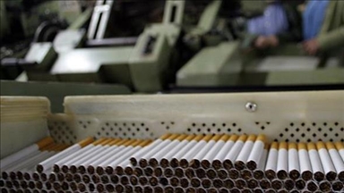 Bugarske vlasti otkrile jednu od najvećih ilegalnih fabrika cigareta, dvije osobe uhapšene