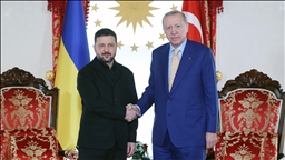 Erdogan reçoit le président ukrainien Zelensky à Istanbul