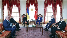 أردوغان وزيلينسكي يبحثان مساعي السلام بين روسيا وأوكرانيا 