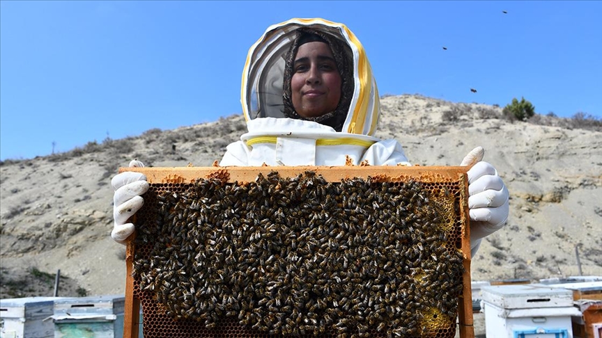 Bilecikli Kadın Arıcı 3 Ilde Bal Üretiyor