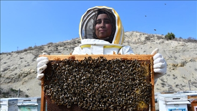 Bilecikli kadın arıcı 3 ilde 4 çeşit bal üretiyor