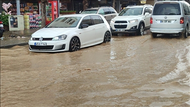 İzmir'in Ödemiş ilçesinde etkili olan sağanak hayatı olumsuz etkiledi