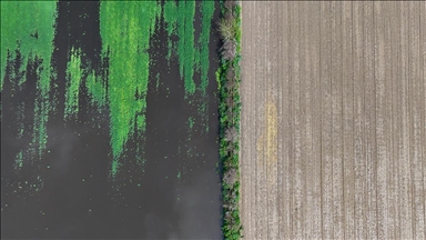 İzmir'de sağanak nedeniyle bazı tarım arazileri ve meyve bahçeleri su altında kaldı