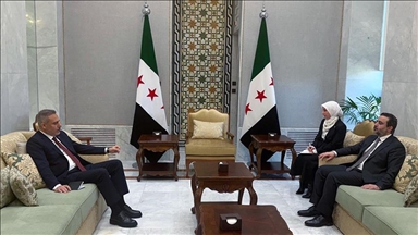 فيدان يلتقي الشيباني في دمشق