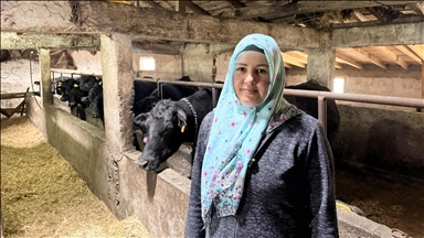 Devlet desteğinden yararlanan kadın çiftçi büyükbaş hayvan sürüsünü büyüttü 