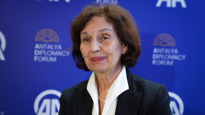 Kuzey Makedonya, AB'ye üyelik sürecini "Brüksel'e doğru engellerle dolu maraton" olarak görüyor