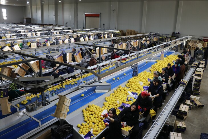 Türkiye, yılın ilk çeyreğinde en fazla yaş meyve sebzeyi Irak'a gönderdi