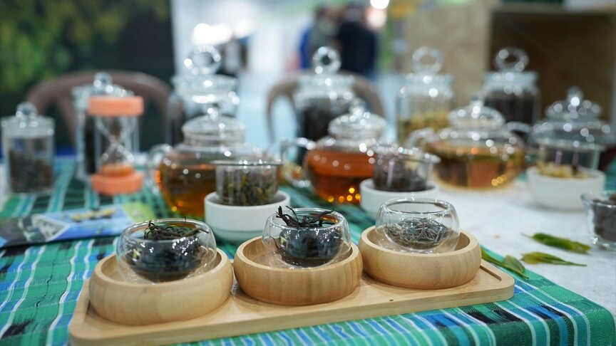 "Uluslararası Kaçkar Turizm Fuarı", Rize ve Artvin'in ortak potansiyelini vitrine çıkardı