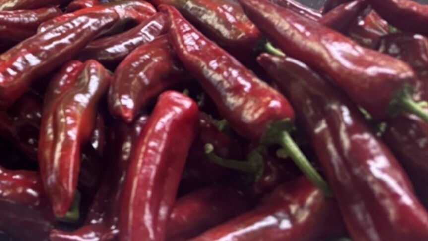 Türkiye'nin biber ihracatının yüzde 74'ü Batı Akdeniz'den